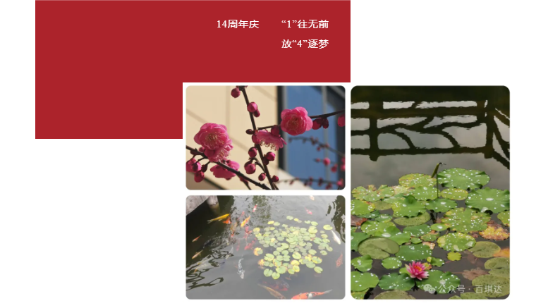 百琪達周年慶 | “1”往無前，放“4”逐夢